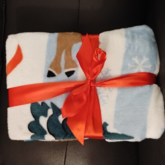 New Rudolph the red nosed reindeer throw and reindeer slippers - Picture 3 of 3